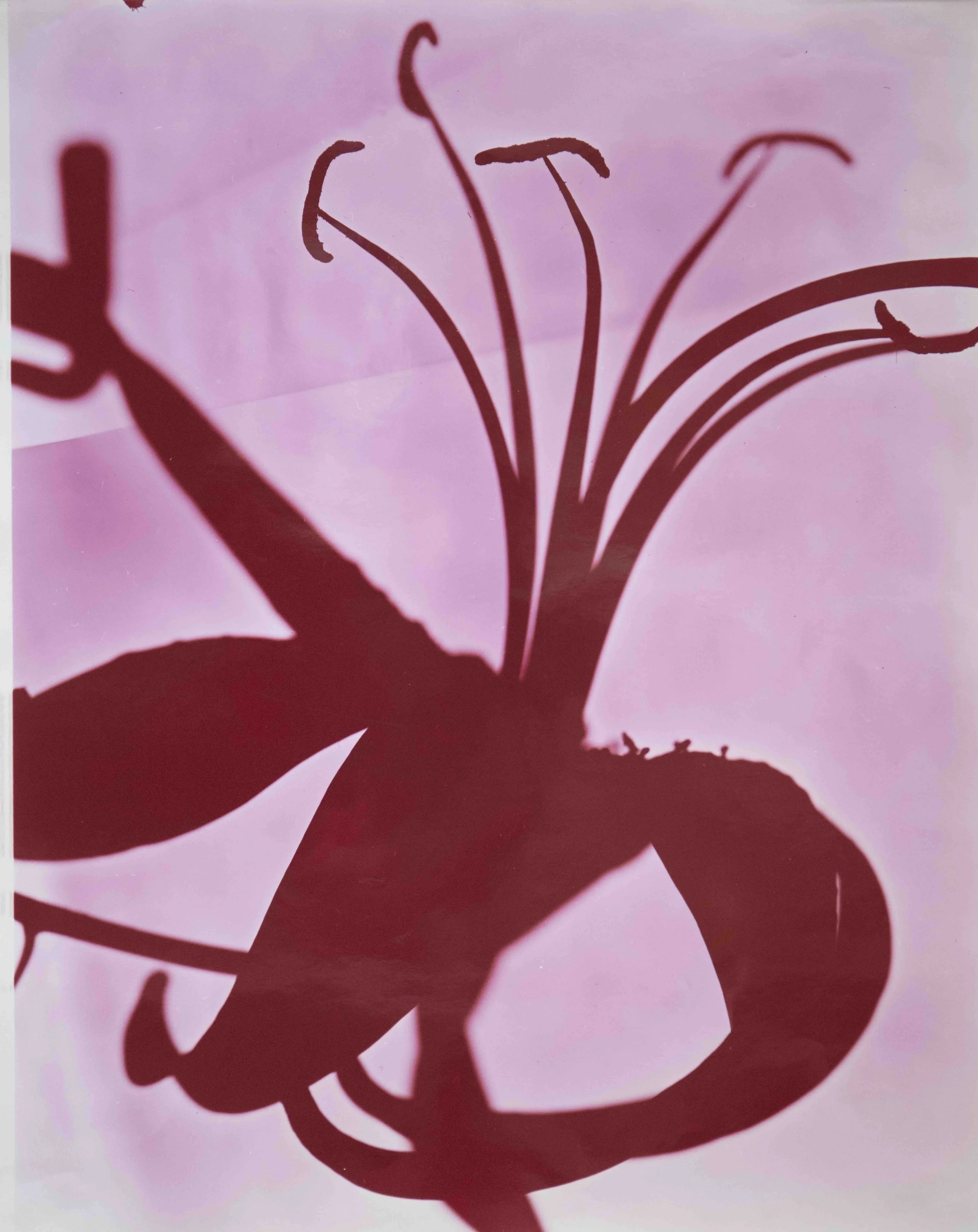 Kunié Sugiura: Photopainting | San Francisco Museum of Modern Art